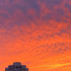 Meet your Posher, Dane